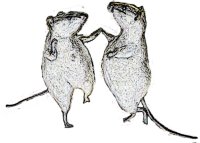 Look for the sign of the dancing rat!